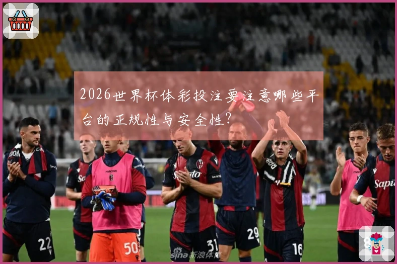 2026世界杯体彩投注要注意哪些平台的正规性与安全性？