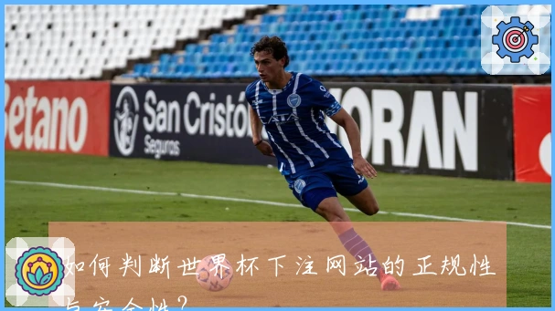 如何判断世界杯下注网站的正规性与安全性？