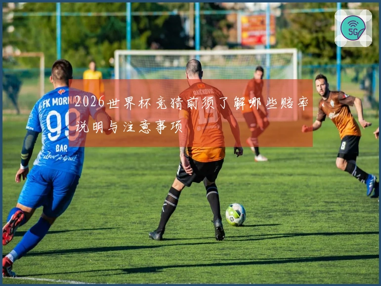 2026世界杯竞猜前须了解哪些赔率说明与注意事项