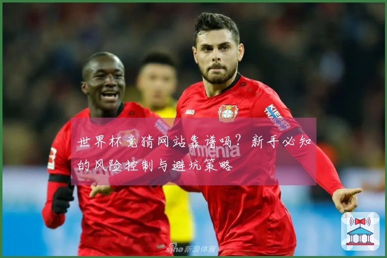 世界杯竞猜网站靠谱吗？新手必知的风险控制与避坑策略