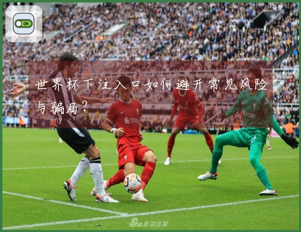 世界杯下注入口如何避开常见风险与骗局？