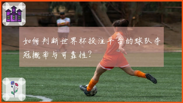 如何判断世界杯投注平台的球队夺冠概率与可靠性？